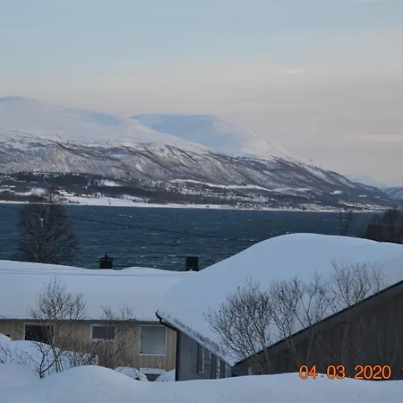A Nice And Quiet Place Near To Trosmo City Apartment